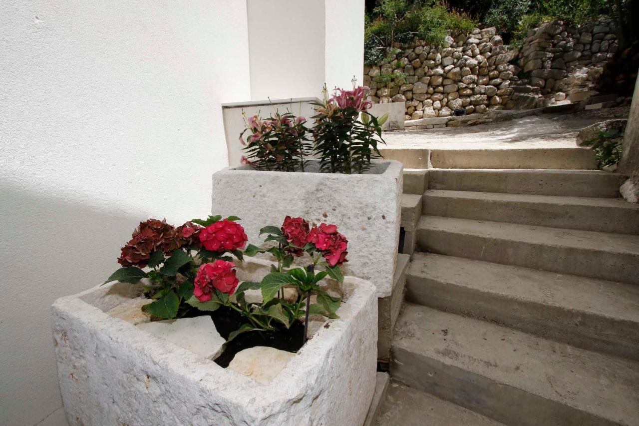Apartmani Rustica Drasnice Esterno foto